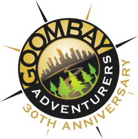 GA-Anniversary-WEB-72dpi